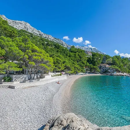 Appartement Ante M *